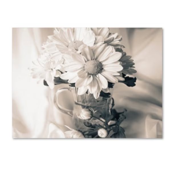 Bob Rouse 'Summer Mums Bw' Canvas Art, 35x47, Trademark Fine Art, Mfr#: ALI16319-C3547GG